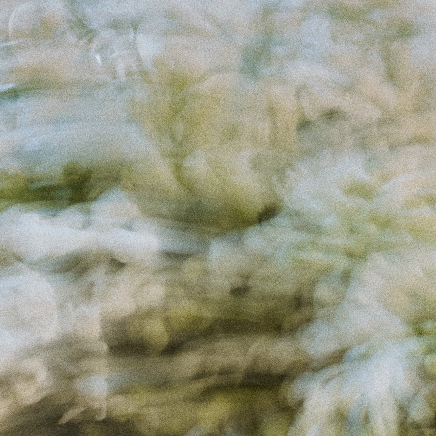The Earthy Set - Air & Fabric Spray