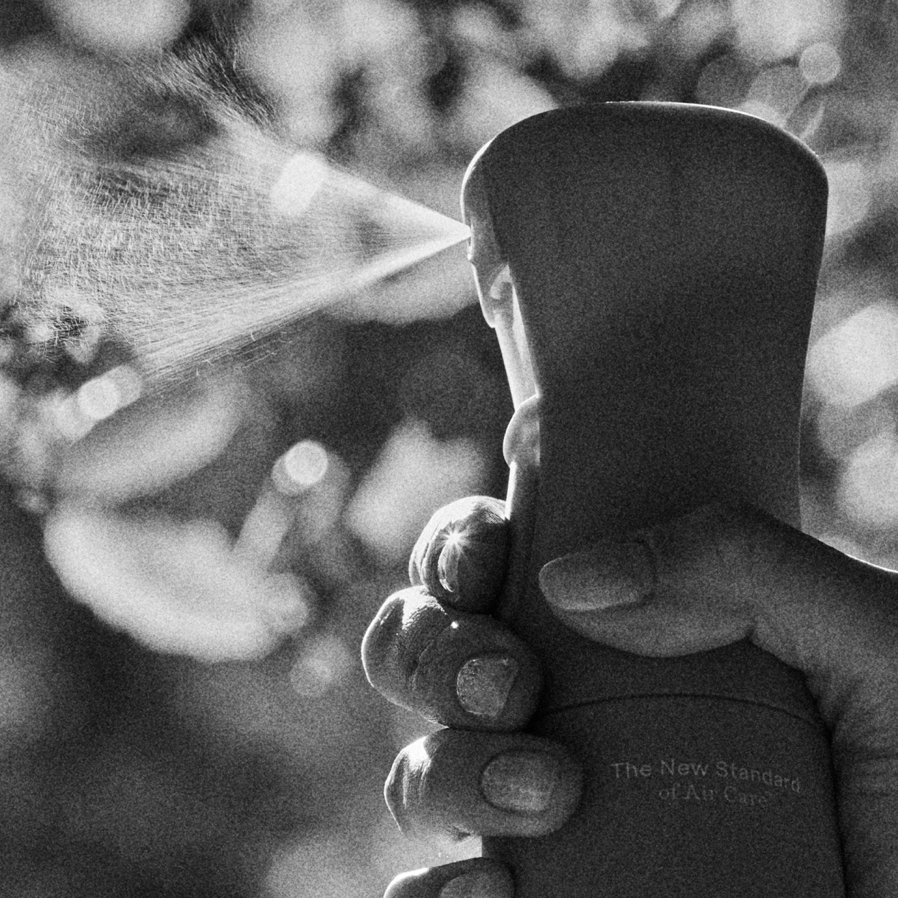 The Earthy Set - Air & Fabric Spray – Realm