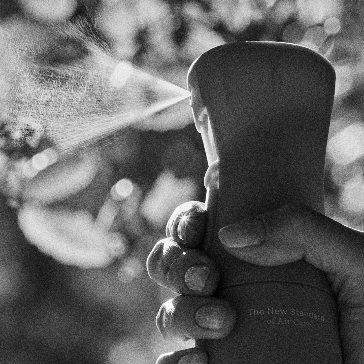 The Earthy Set - Air & Fabric Spray