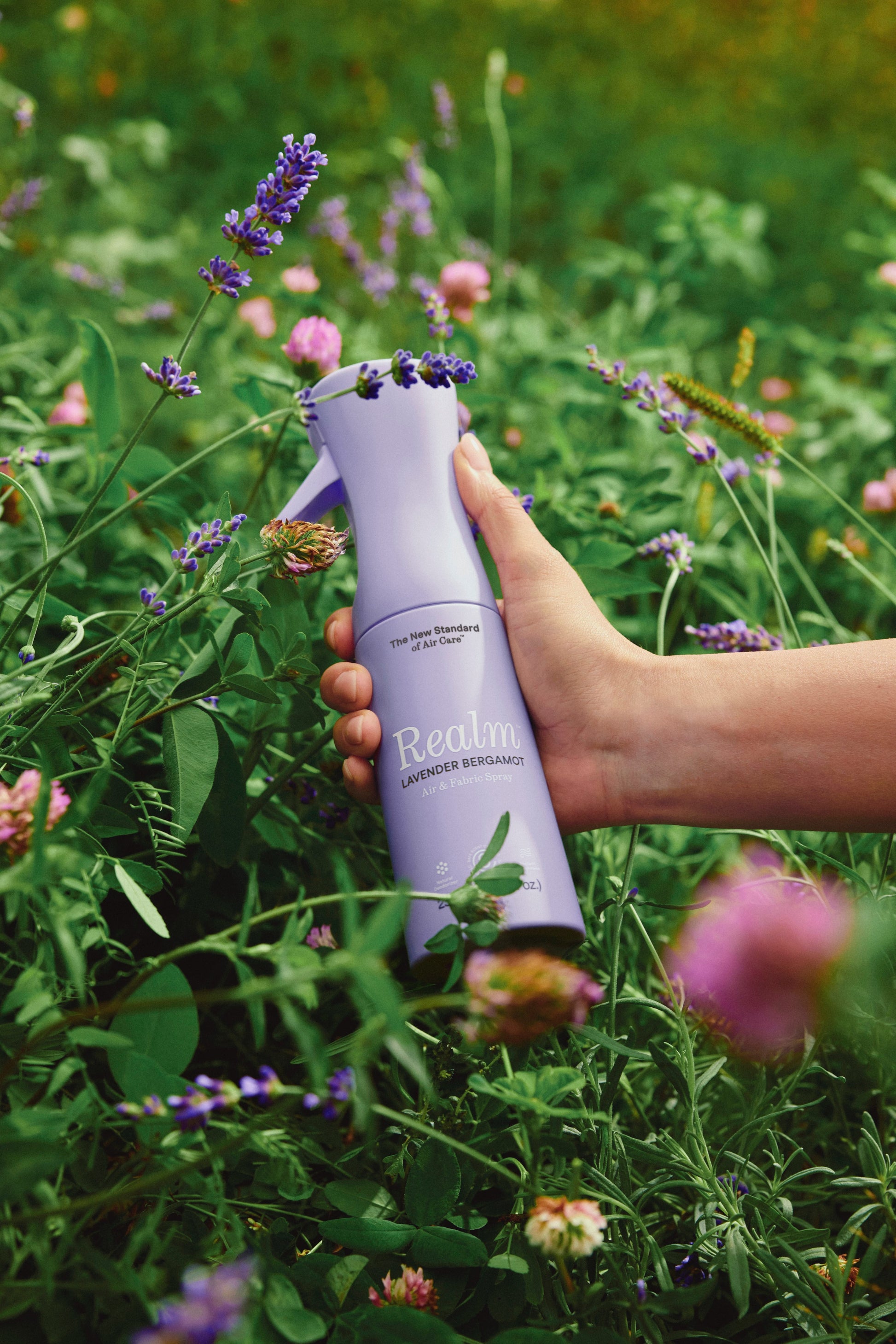 lavender spray for garden Lavender Bergamot