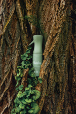 The Earthy Set - Air & Fabric Spray